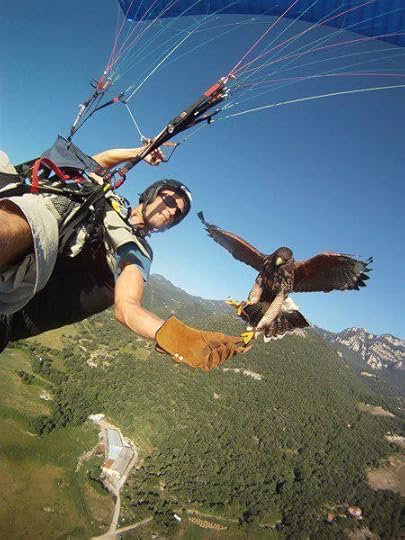 how awesome is this!!!! Now all I need to find is a hawk to take with me!: