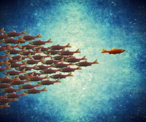 Passion Profit Pursuit of Happiness 