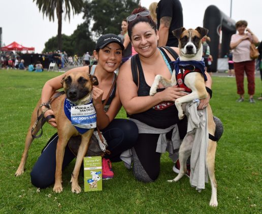 Synchrony Financial Rock 'n' Roll San Diego Dog Walk