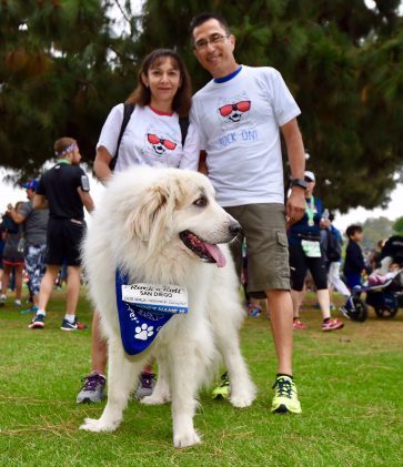 Synchrony Financial Rock 'n' Roll San Diego Dog Walk