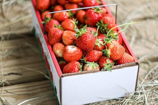 strawberry picking I howsweeteats.com 