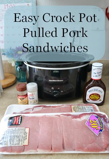 Easy Crock Pot Pulled Pork Sandwich recipe via flouronmyface.com
