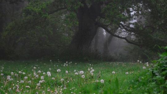 Photo of the Remarkables mountain range in Queenstown, New Zealand.