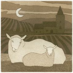 Sheep etching by Bill Yardley