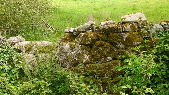 Old stone wall