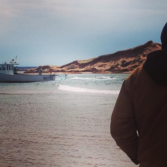 Malpeque, as seen from the Darnley side. Setting Day, 2017.