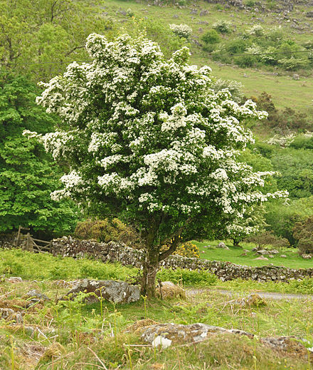 Photo of the Remarkables mountain range in Queenstown, New Zealand.
