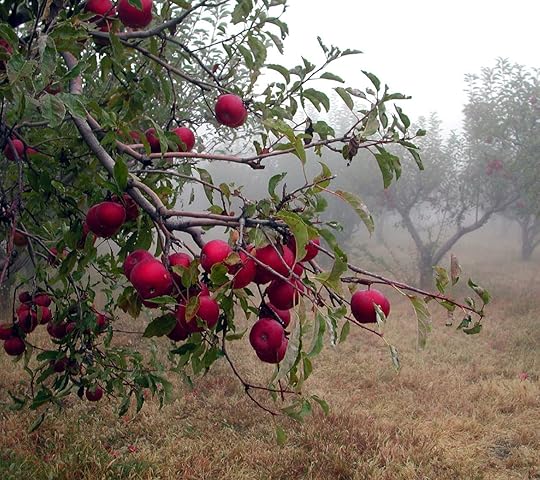 Photo of the Remarkables mountain range in Queenstown, New Zealand.