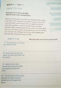 *His Last Words* Bible Study