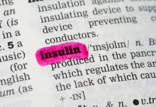 Insulin Dictionary Definition closeup highlighted in pink
