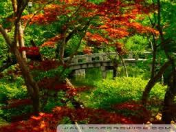 Related image