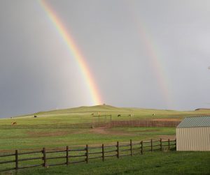 Colorado Cattle Company and Guest Ranch