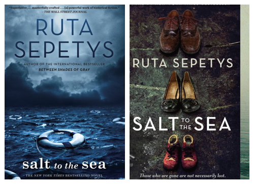 salt to the sea cover change