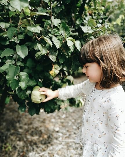 picking quince