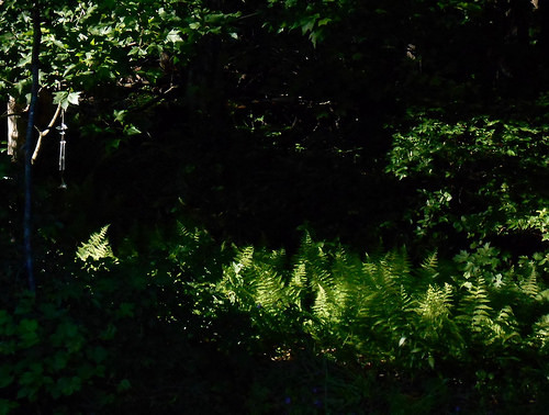 Fern-green flame