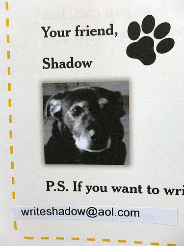 2017-06-12 - Lessons from Shadow - 0003 [flickr]