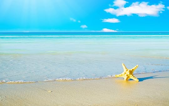 Image result for summer