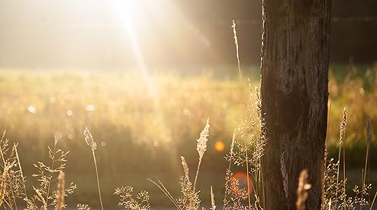 Image result for summer