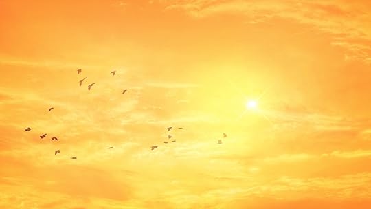 Image result for summer