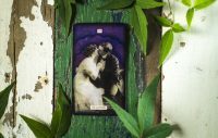 Your Weekly Astro Tarot with Our Psychic Tanya 5th June