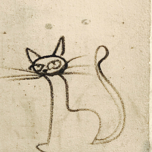 IMG_2257 cat graffiti