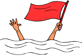 Risultati immagini per red flags