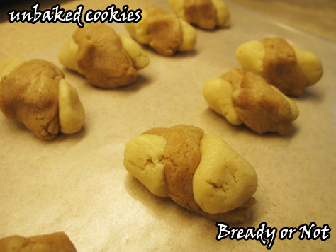 Bready or Not: Cinnamon Twist Cookies 
