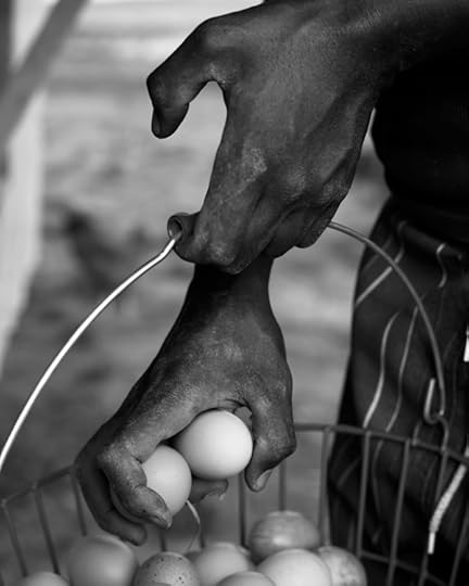 Sam-Contis---Eggs_dsc5948new