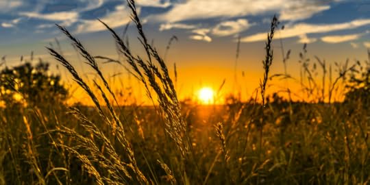 ndie Author Weekly Update