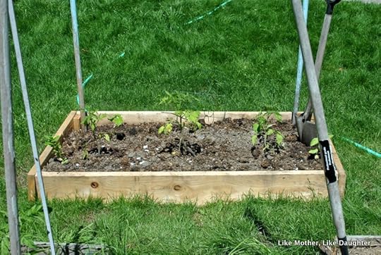 Order and Wonder in June