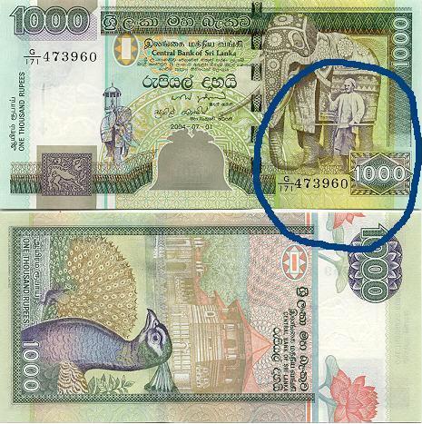 One_Thousan_Rupee_Note