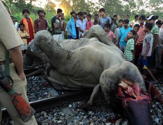 ரயிலில் மோதுதல்