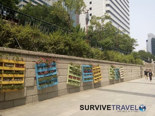 Cheonggyecheon Stream Review, Survive Travel 3