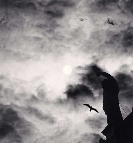 2f95cd15be0e8ab75a4b2e6ab93f4103