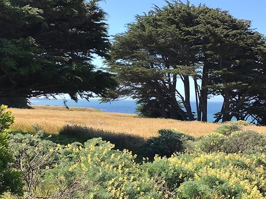 The view from our house.