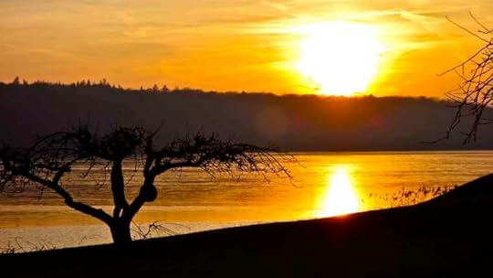 Image result for the invisible moth wordpress