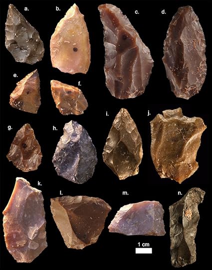oldest hom sapiens tools