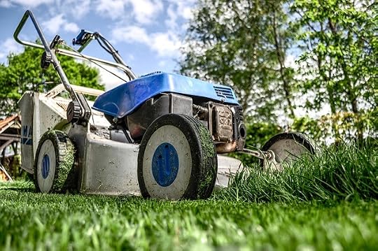 How not to be a lawn mower parent