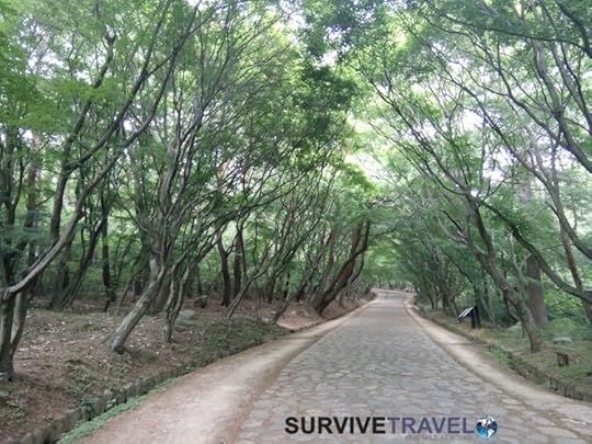 Bulguksa Temple and Tohamsan Peak Review, Survive Travel, 7