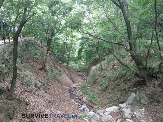 Bulguksa Temple and Tohamsan Peak Review, Survive Travel, 8
