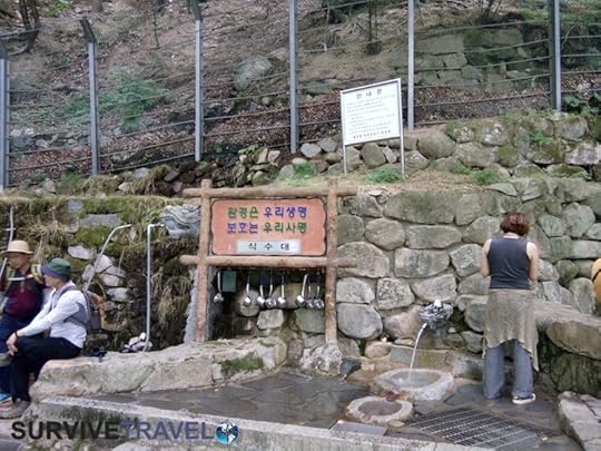 Bulguksa Temple and Tohamsan Peak Review, Survive Travel, 9