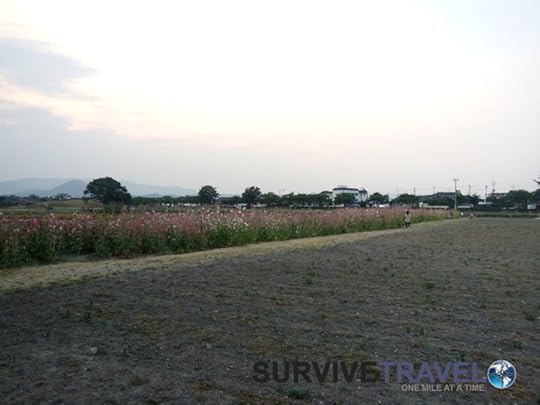 Donggung Palace and Wolji Pond Review, Survival Travel 5