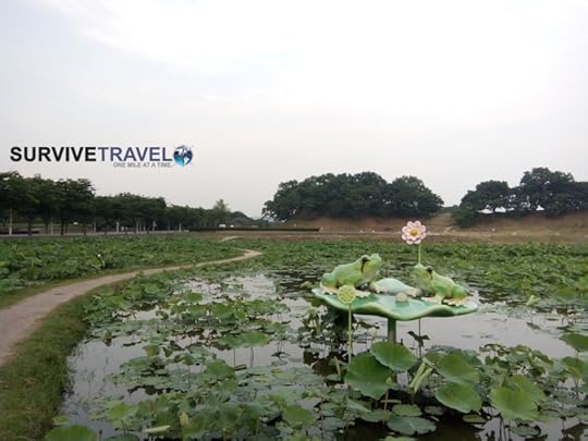 Donggung Palace and Wolji Pond Review, Survival Travel 6