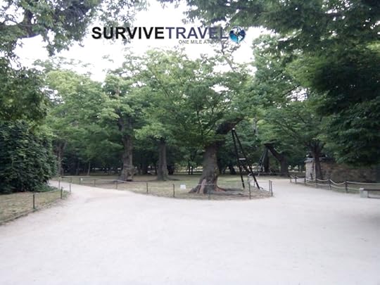 Donggung Palace and Wolji Pond Review, Survival Travel 9