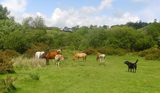 Encounter on the Commons