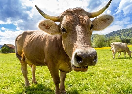 Be sure to share the file