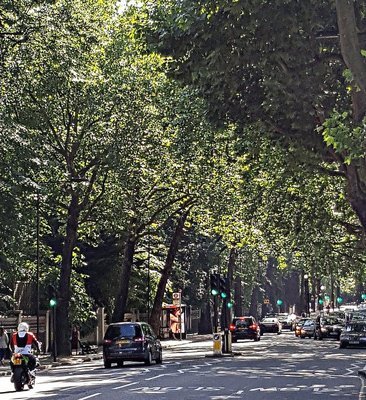 Holland Park Avenue