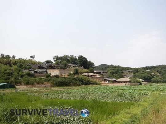 Yangdong Folk Village Review, Survive Travel 2
