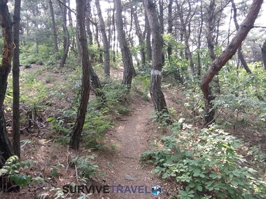 Yangdong Folk Village Review, Survive Travel 6