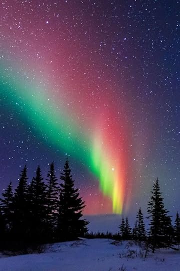 The Aurora Borealis blazes across the sky above Churchill, Manitoba.